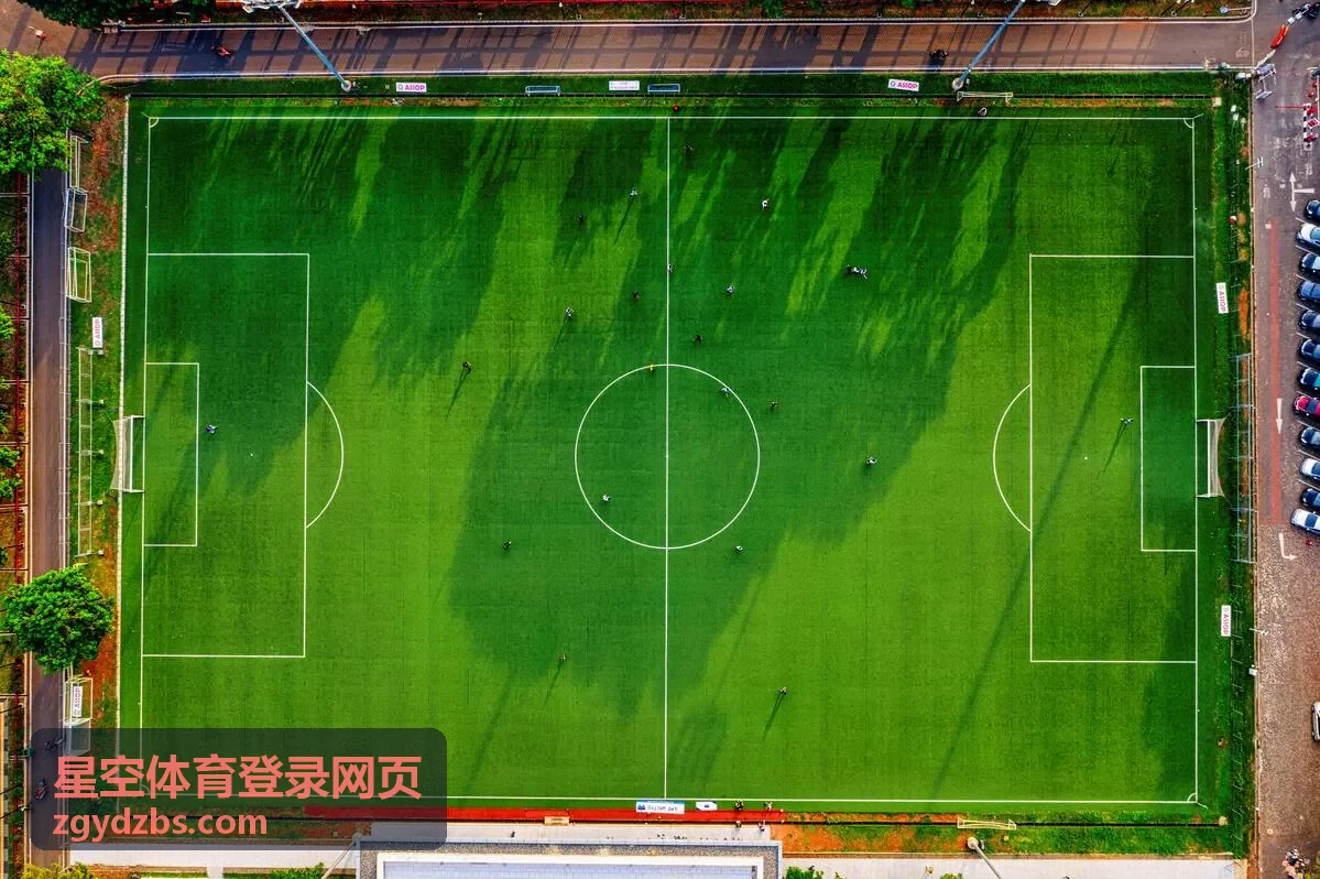 星空体育登录网页排球赛事卡