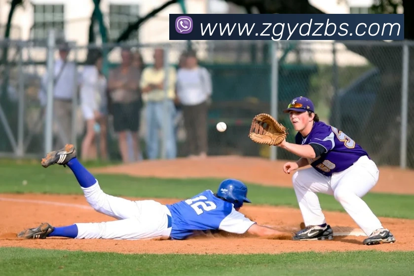 世界杯开户平台平台生态图